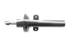 Амортизатор (передний) Ford Mondeo III 00-07 (Gas) Solgy 211332 (фото 5)