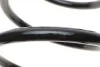 Пружина (передняя) VW T5 1.9TDI/Multivan V 1.9 TDI 03-15 Solgy 212022 (фото 3)