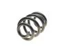Пружина (задняя) VW T5/T6/Multivan V/VI 1.9-2.0TDI/2.5TDI/3.2 V6 03- (фургон/с борт.пл) Solgy 212054 (фото 1)