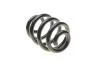 Пружина (задняя) VW T5/T6/Multivan V/VI 1.9-2.0TDI/2.5TDI/3.2 V6 03- (фургон/с борт.пл) Solgy 212054 (фото 2)