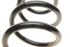 Пружина (передняя) Opel Vivaro 1.9DTI/2.0 16V/Renault Trafic 1.9dCi/2.0/16VdCi/Nissan Primastar 01- Solgy 212059 (фото 4)