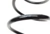 Пружина (передня) Dacia Duster 1.5dCi/1.5dCi 4x4 10-18/Renault Duster 1.5dCi 4x4 11- Solgy 212071 (фото 4)