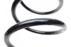 Пружина (задняя) Dacia Duster 1.2TCe/1.5dCi/1.6 16V 4x4 10-18/Renault Duster 1.5dCi/1.6 16V 4x4 11- Solgy 212075 (фото 4)