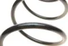 Пружина (передняя) Citroen Berlingo 2.0HDi 02-05/1.6HDI 05-11 (фургон/вэн) Solgy 212081 (фото 4)