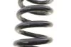 Пружина (передняя) Nissan NP300 Navara 2.5dCi 4WD 05- Solgy 212125 (фото 3)