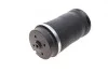 Подушка пневмоподвески (сзади) MB (W164) ML Solgy 224001 (фото 1)