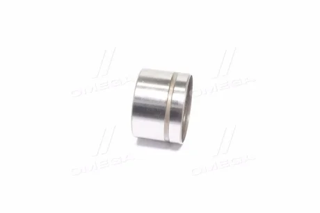 Гидрокомпенсатор Actyon (06-) E23 / Kyron (06-) E23, E32 / Rexton (02-) E23, E28, E32 SsangYong SSANGYONG 1040501225