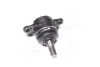 Опора шаровая передняя нижнего рычага Actyon (06-) / Kyron (07-) / Rexton (06-) SsangYong SSANGYONG 4454109005 (фото 1)