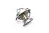 Термостат Rodius, Kyron, Musso, Istana, Actyon (Sports), Korando, Rexton (вір-во SsangYong) SSANGYONG 6062030275 (фото 1)