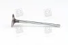 Клапан впускной (выр-во SsangYong) SSANGYONG 6650530401 (фото 1)