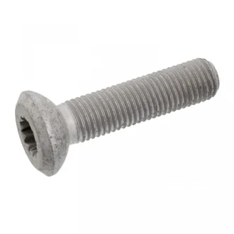 Болт с головкой системы TORX из черного металла SWAG 30926511