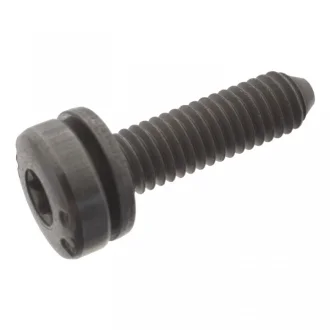 Болт з головкою системи TORX (Swag) SWAG 30949401