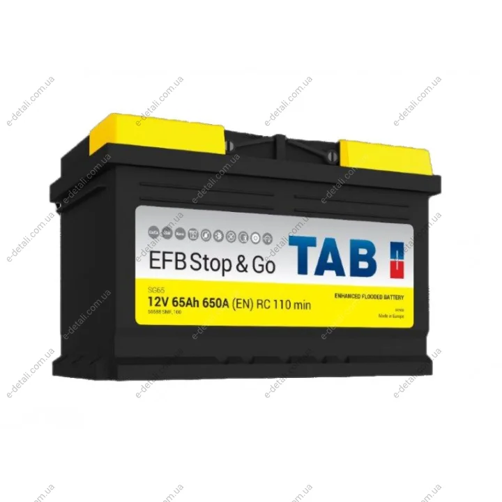 Аккумулятор EFB TAB 212065 (фото 1)