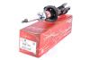 Амортизатор Chery Jaggi, Chery Kimo 2008-- G88-130 S21 TASHIKO G88130 (фото 1)