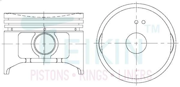 Поршни ремонт +1.00mm(к-кт на мотор) Nissan MA10 TEIKIN 44600100 (фото 1)