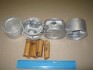 Поршни ремонт +1.00mm (к-кт на мотор) Daewoo Nexia 1.5 TEIKIN 49101100 (фото 1)
