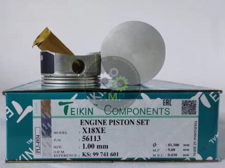 Поршні двигуна, комплект TEIKIN 56113100