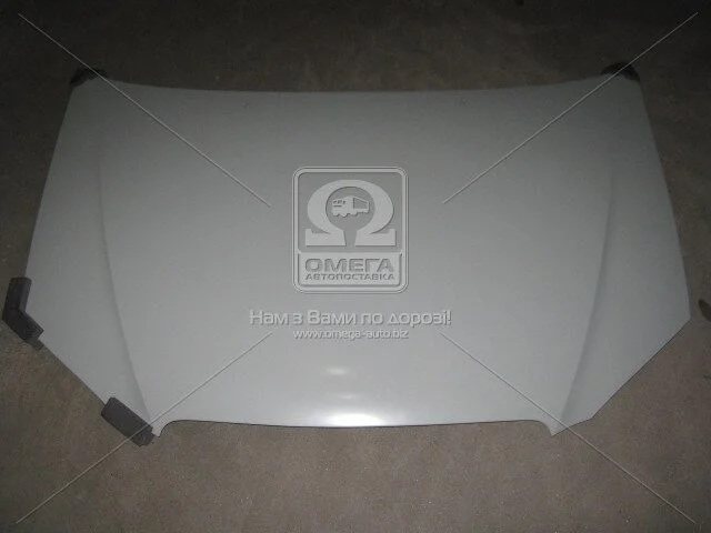 Капот BYD F3 06-13 (вир-во) TEMPEST 206 3456 280 (фото 1)