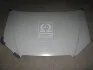 Капот BYD F3 06-13 (вир-во) TEMPEST 206 3456 280 (фото 1)
