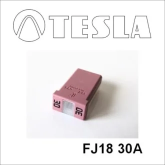 ПРЕДОТВРАЩИТЕЛЬ TESLA FJ18 30A