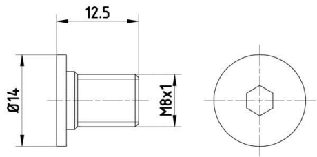 Болти кріплення гальм. дисків TEXTAR TPM0002 (фото 1)