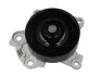Насос охолоджуючої рідини THERMOTEC D12096TT (фото 1)