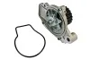 Насос охолоджуючої рідини THERMOTEC D14019TT (фото 1)