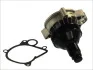 Насос охолоджуючої рідини THERMOTEC D1B032TT (фото 2)