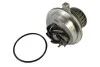 Насос охолоджуючої рідини THERMOTEC D1X019TT (фото 1)