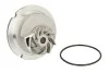 Насос охолоджуючої рідини THERMOTEC D1X029TT (фото 1)