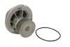 Насос охолоджуючої рідини THERMOTEC D1X041TT (фото 1)