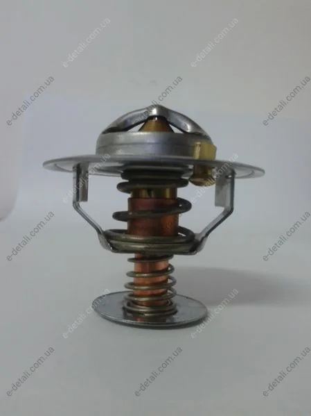 Термостат THERMOTEC D2CA002TT (фото 1)
