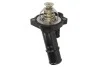 Термостат THERMOTEC D2G013TT (фото 1)