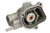 Термостат THERMOTEC D2M009TT (фото 2)