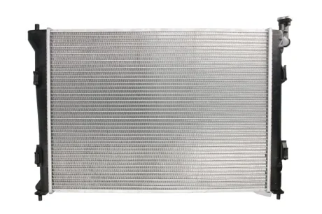 Радіатор THERMOTEC D70301TT