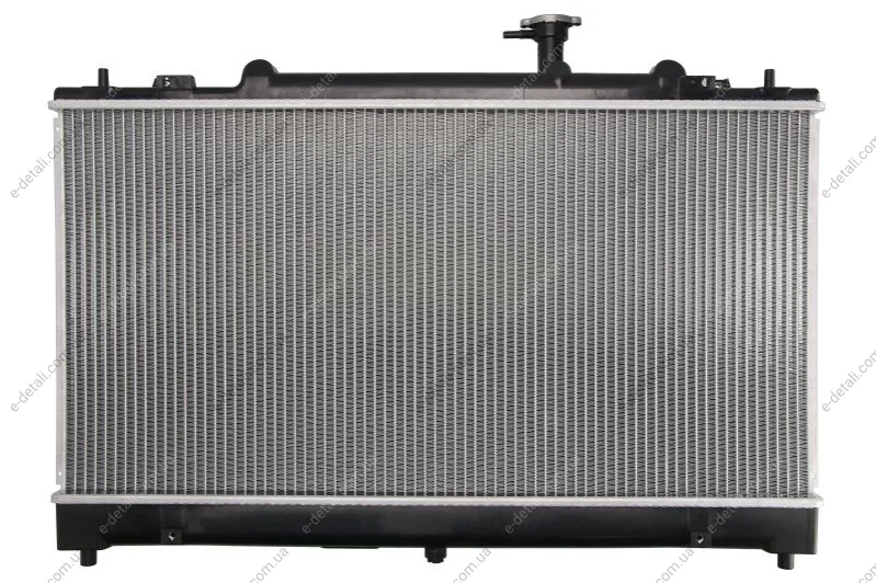 Радіатор THERMOTEC D73004TT (фото 1)