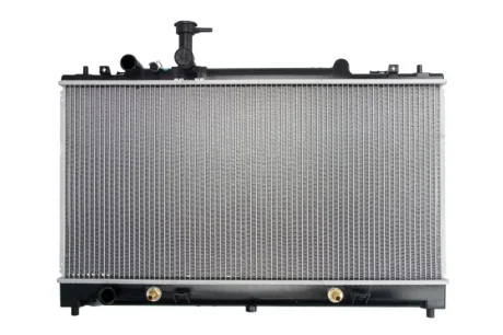 Радиатор THERMOTEC D73019TT