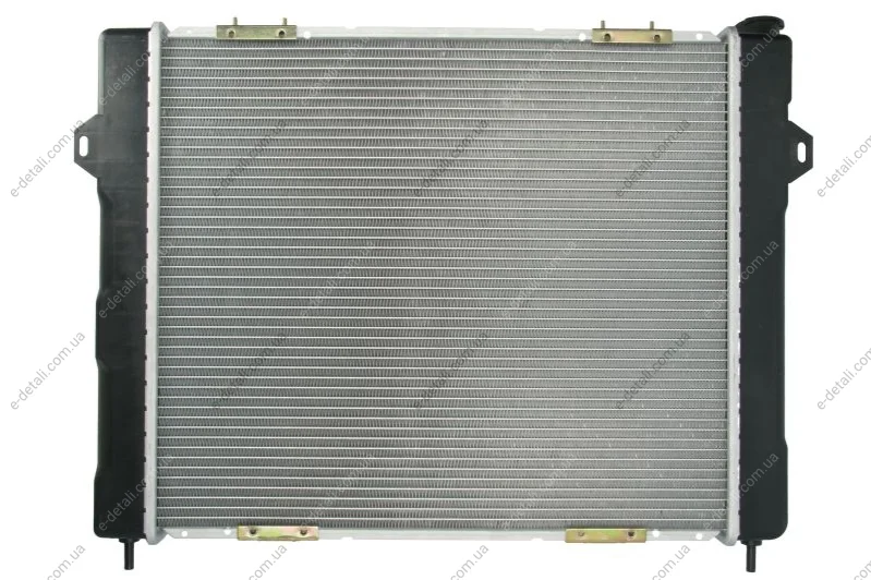 Радиатор THERMOTEC D7Y006TT (фото 1)