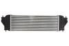 Інтеркулер THERMOTEC DA8001TT (фото 1)