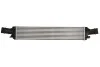 Інтеркулер THERMOTEC DAA019TT (фото 1)