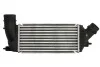Інтеркулер THERMOTEC DAC011TT (фото 2)