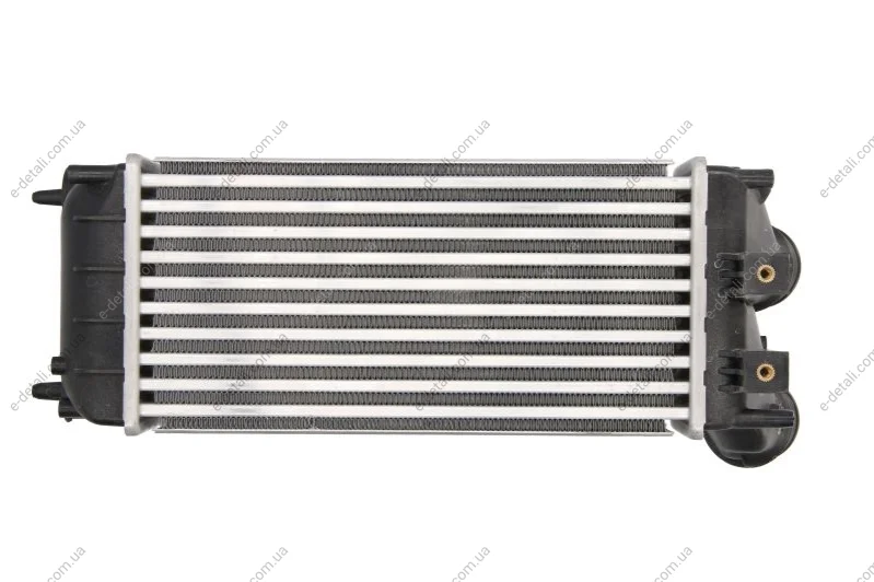 Интеркуллер THERMOTEC DAC012TT (фото 1)