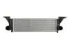 Інтеркулер THERMOTEC DAE003TT (фото 1)