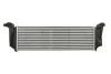 Інтеркулер THERMOTEC DAE003TT (фото 2)
