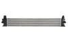 Интеркуллер THERMOTEC DAF007TT (фото 2)