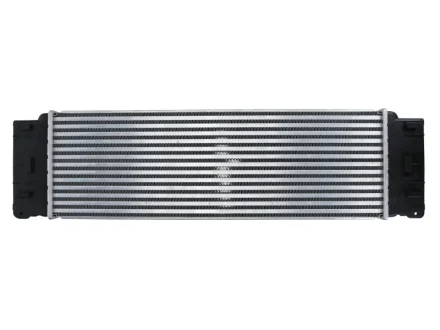 Інтеркулер THERMOTEC DAM004TT