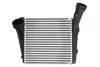 Интеркуллер THERMOTEC DAN001TT (фото 1)