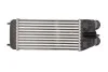 Інтеркулер THERMOTEC DAP003TT (фото 1)