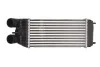 Інтеркулер THERMOTEC DAP003TT (фото 2)