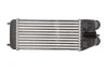 Інтеркулер THERMOTEC DAP003TT (фото 3)